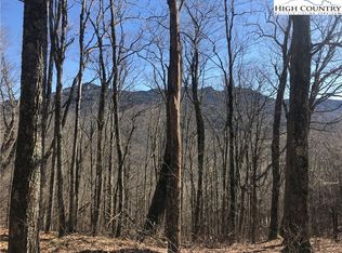 Tyneridge Rd, Banner Elk, NC 28604