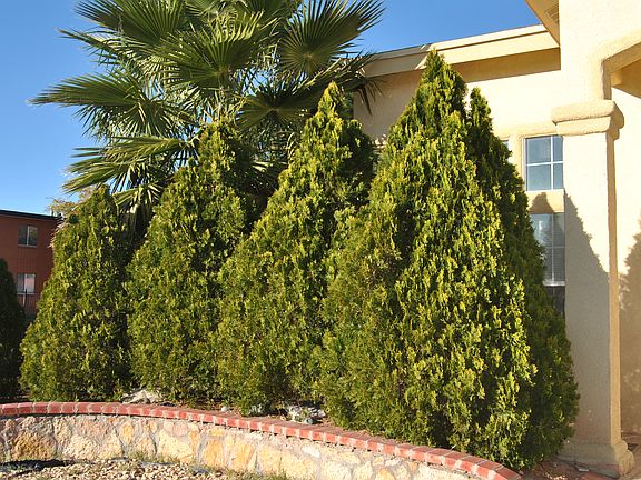 5th image of 5292 Jose Cardenas Ln