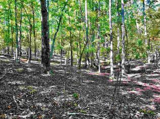 225 Ridgewood Dr #214, Waleska, GA 30183