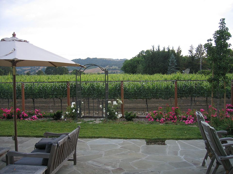 Back Yard View