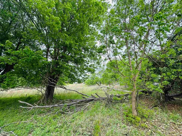 TBD Luckenbach West Street, Llano, TX 78643