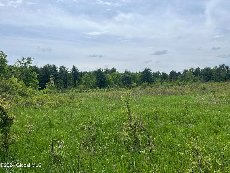 4th image of 0 Klemme Road