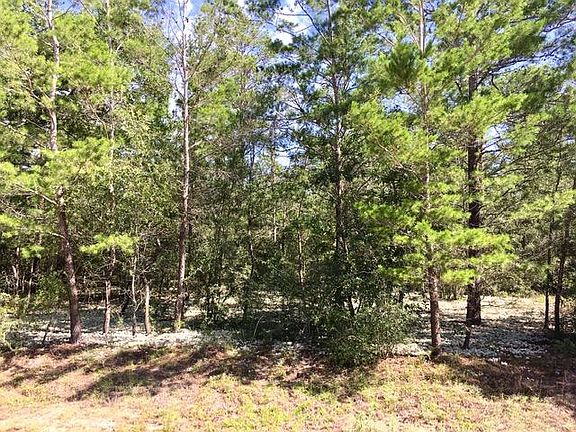 3rd image of 15 Oakwood Lakes Blvd