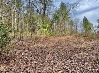 1029 Pleasant Hill Rd #1, Ellijay, GA 30540