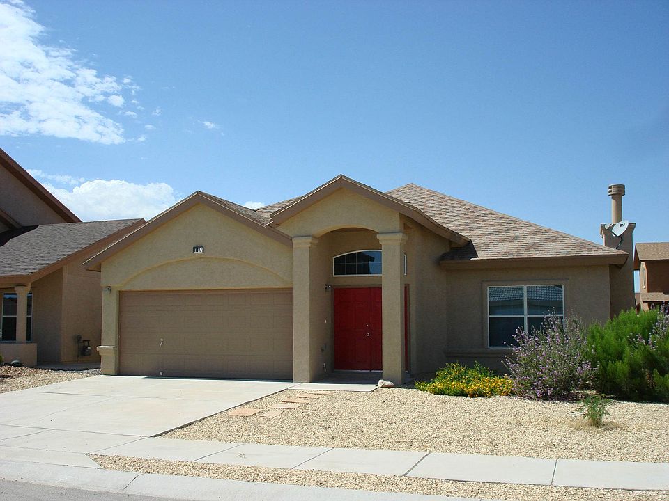 11917 Mesquite Bush