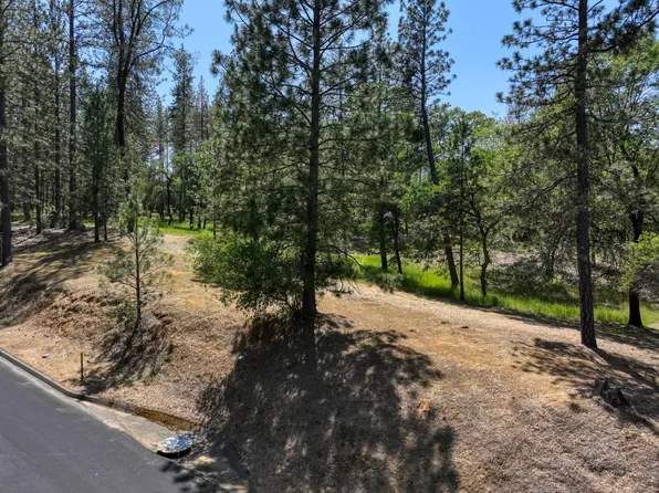 17010 Winchester Club Dr, Meadow Vista, CA 95722