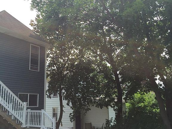 Trees along rear