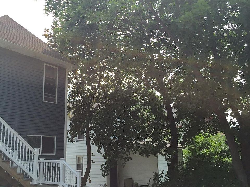 Trees along rear