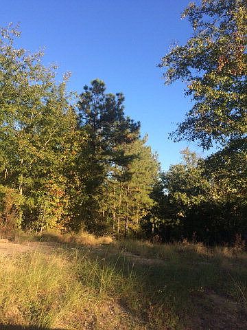 1st image of 0 Birch Wood Ct
