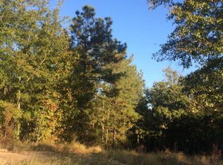 0 Birch Wood Ct, Warrenville, SC 29851