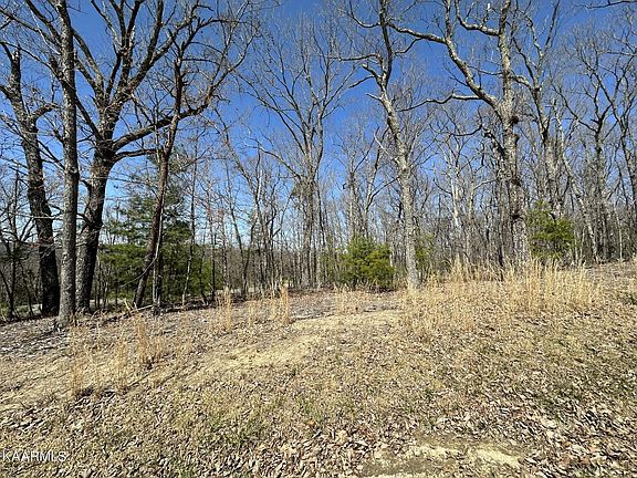 5th image of 101 Valarian Dr #30