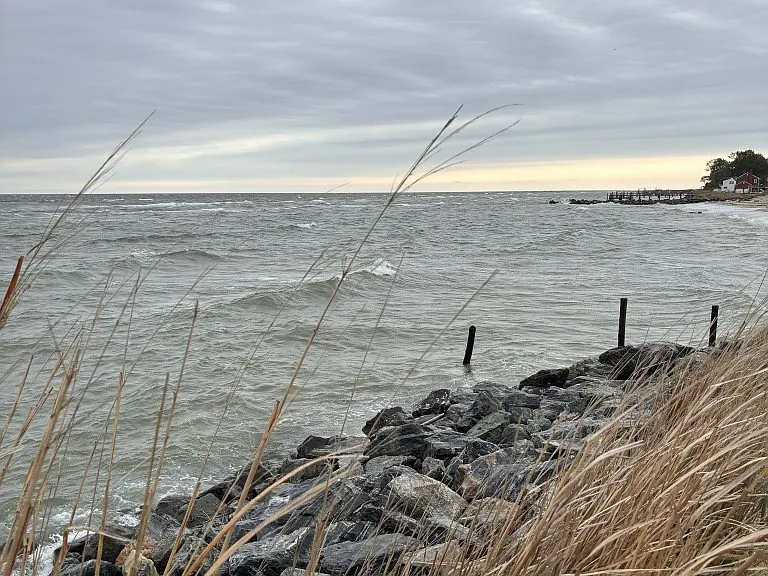View of water from front of property