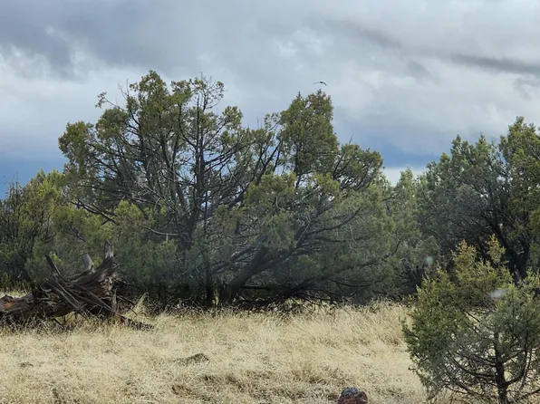 2339 N Phillip Ln, Williams, AZ 86046