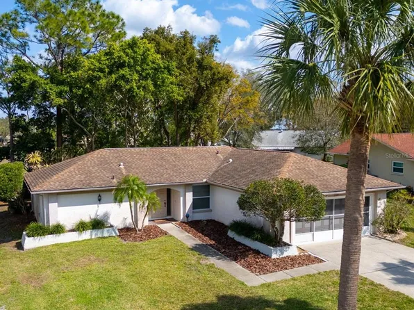 3347 E Dorchester Dr, Palm Harbor, FL 34684