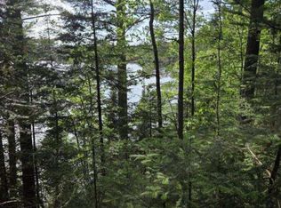 Tbd W Paint Lake Rd, Iron River, MI 49935