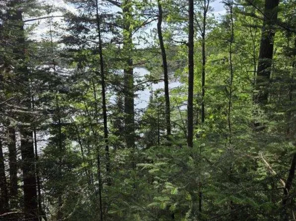 Tbd W Paint Lake Rd, Iron River, MI 49935