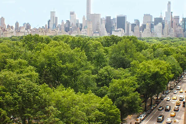 Rented by Rachel Realty | media 1