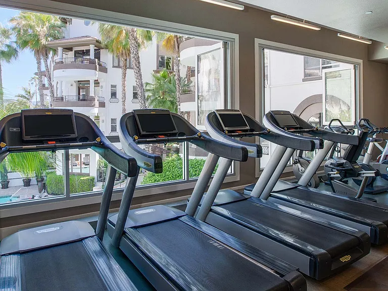 Working out in the open air gym is a breeze