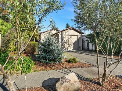 1016 Grand Avenue, Santa Rosa, CA, 95404