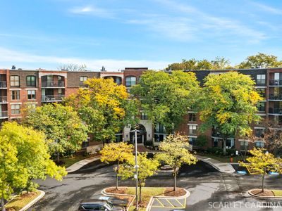 509 Aurora Ave Unit 204, Naperville, IL, 60540