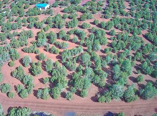 59 N 3131st, Vernon, AZ 85940