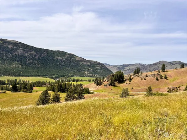 0 TBD Cathrine Creek Road, Curlew, WA 99118