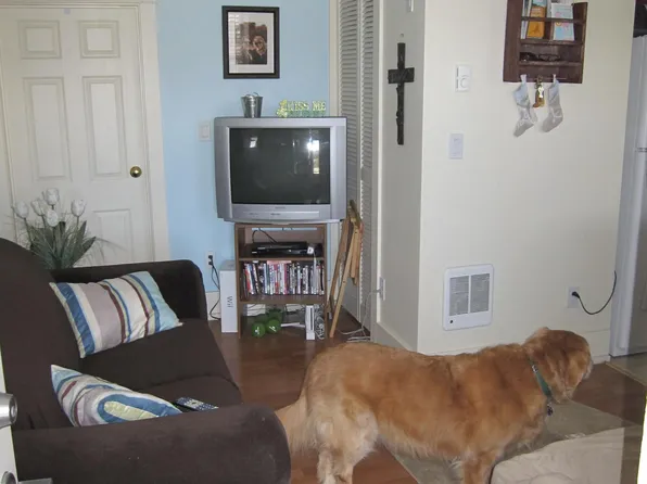 220 SE Gladstone St #5, Pullman, WA 99163