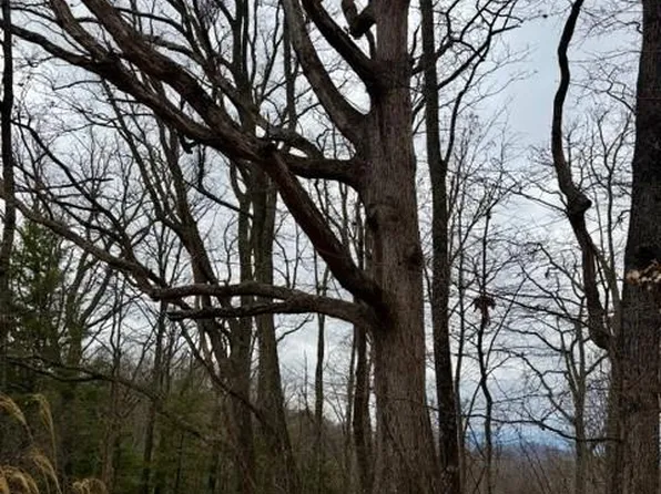 201 Glen Valley Dr, Weaverville, NC 28787