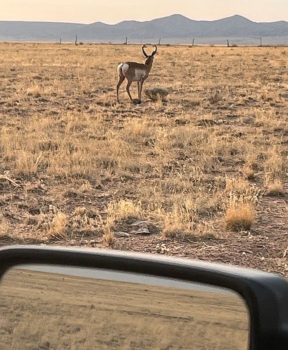 3301 Cuchilla Dr, Veguita, NM 87062 Zillow