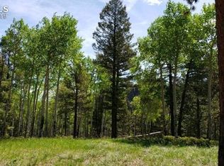 2700 Elk Rdg N, Divide, CO 80814