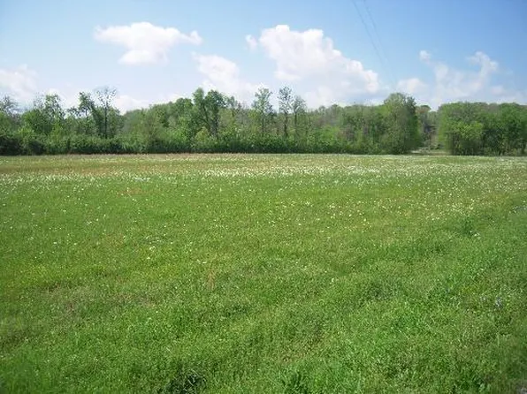 60 Lantern Ln, Olivehill, TN 38475