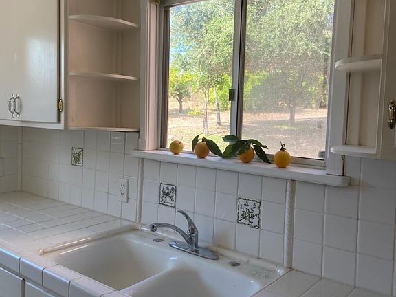 Kitchen looking out on orchard