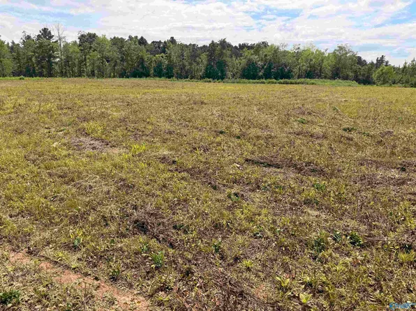48 County Road 32, Piedmont, AL 36272