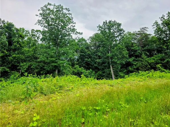 Cowart Mountain Tract Road 2, Jasper, GA 30143