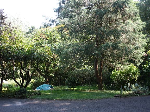3rd image of 0 Ivy Ln