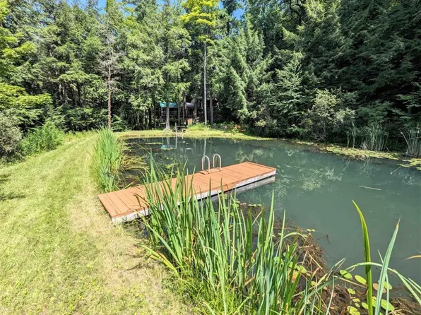 1885 Kiefer Hollow Rd, Dansville, NY 14437