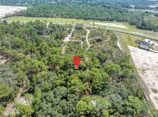0 Restoration Rd, Brooksville, FL 34613