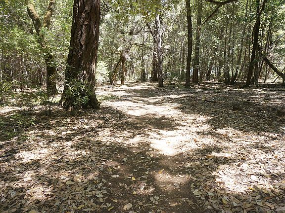 4th image of 4271 State Highway 299