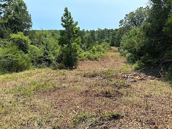 2nd image of Penny Ln