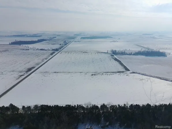 9999 N Pinnebog Rd, Elkton, MI 48731