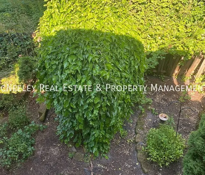 6762 SW 180th Ave — Photo 13