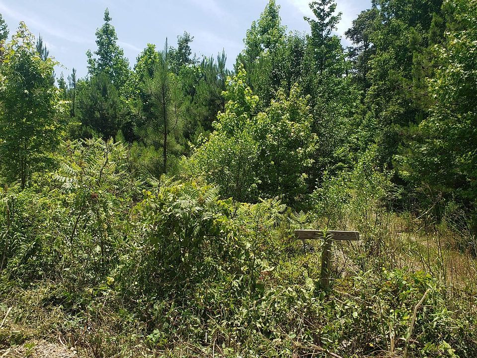 2nd image of 0 County Road 740 #1
