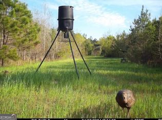 0 Cedar Rock Rd, Woodbury, GA 30293