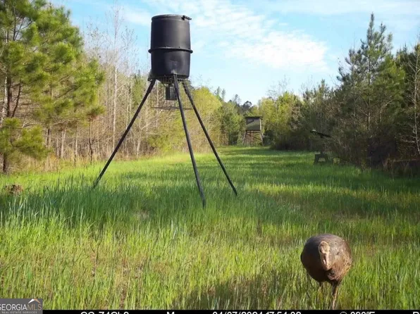 0 Cedar Rock Rd, Woodbury, GA 30293