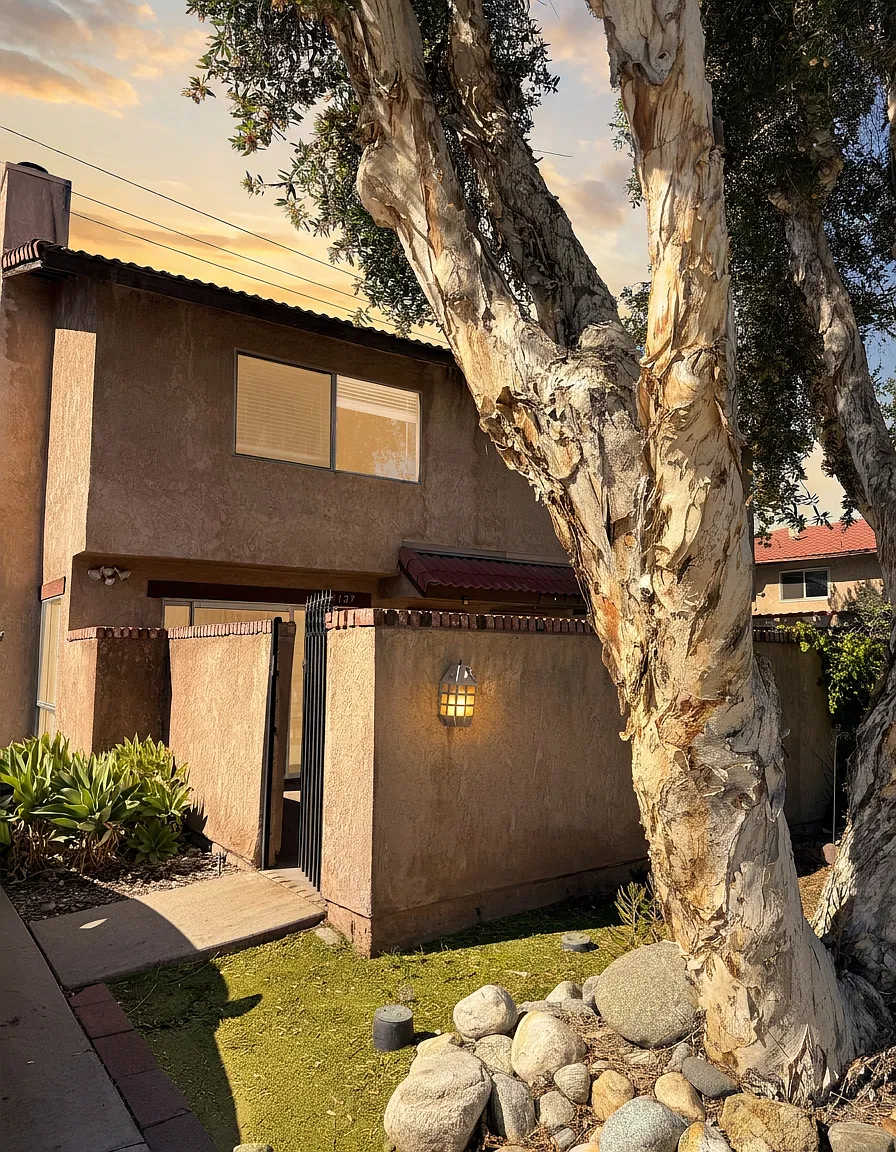 1127 Calle Linares - 1 — Photo 2