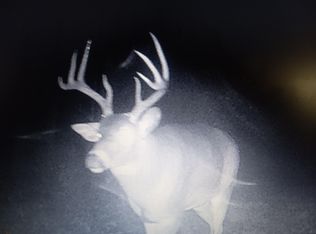 160 Twelve Mile Rd, Remus, MI 49340