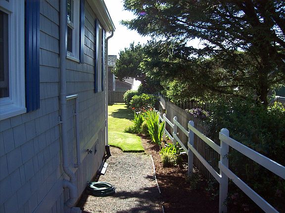 Back yard