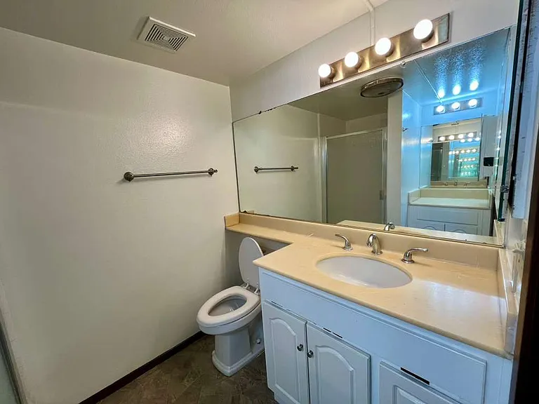 En-suite bathroom inside attached to Master Bedroom