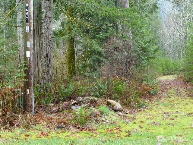 0 LOT 59 Wilderness Village Drive photo 1