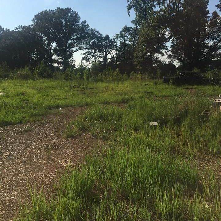 2nd image of Skunk Hollow Rd